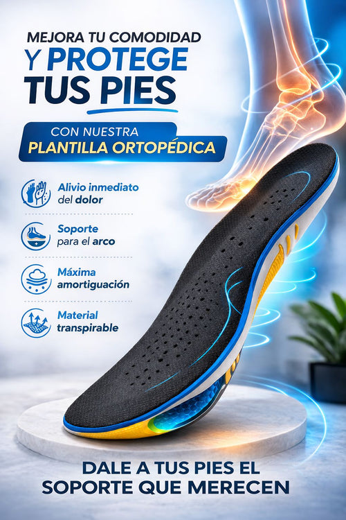 PLANTILLA